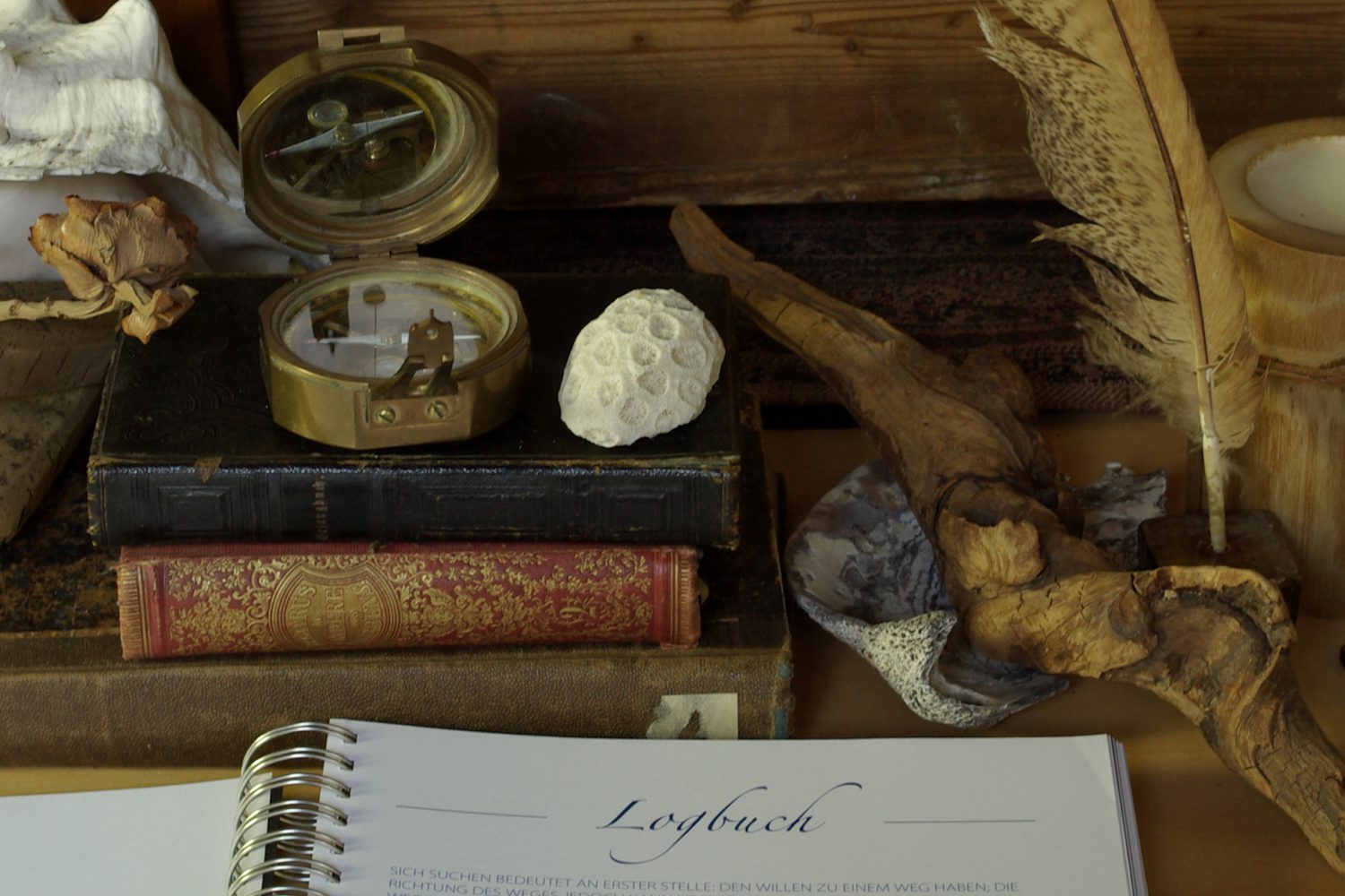 Lebensnautik - Logbuch